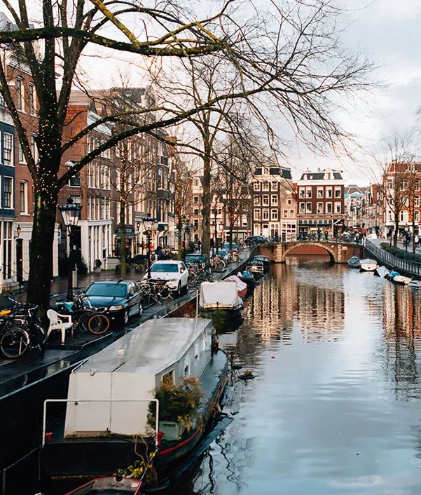 Ams